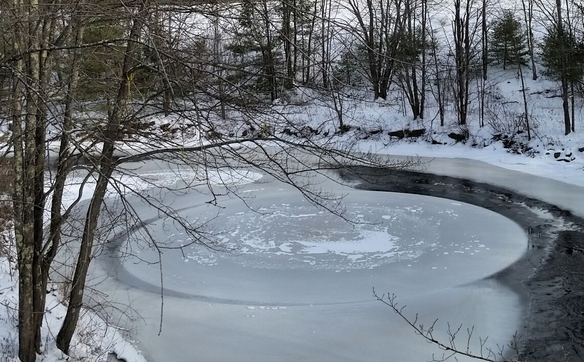Reader Pics: Jan. 27